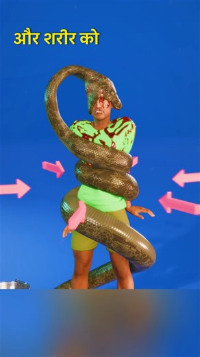 Can a Python Really Swallow a Man Alive 🐍😱