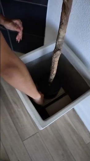 Faux Tree Hack: Get Elevated Potted Look with Moss!