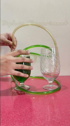 Siphon Experiment | Siphon Principle Physics Demonstration | #shorts #physics #kidsvideo #siphon