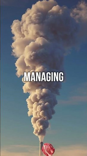 How an Offset Smoker Actually Works