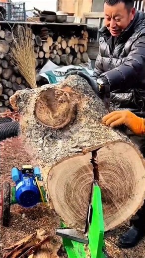 Hydraulic Log Splitter To Cut A Large Tree Trunk