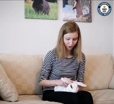 222K views · 855 shares | Meet tricksy Taawi and his trainer Aino Kivikallio from Finland . "He is the most active and energetic rabbit I have ever seen," | Guinness World Records | Facebook