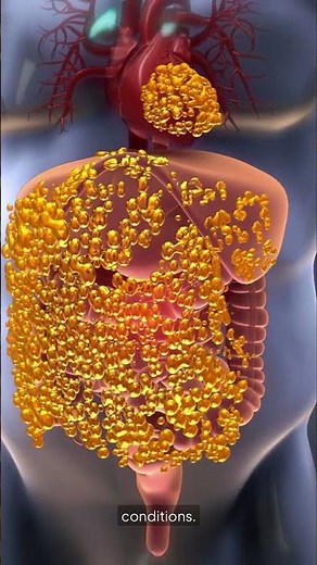 Growth of subcutaneous fat #meded #anatomy