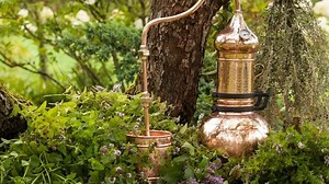 48 Best Essential Oil Distillers You Can Find In Amazon