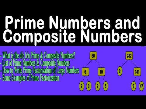 Prime Numbers and Composite Numbers – Learn Prime Factorization Fast!