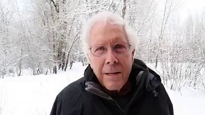 116K views · 8.1K reactions | Merry Christmas and Happy Holidays from Living With Wolves. Thank you to friend and supporter Wally Montgomery for sharing this beautiful video of the wolves of Yellowstone. | Living with Wolves | Facebook