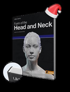 Form of the Head and Neck | by Anatomy For Sculptors ®