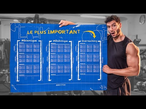 Comment créer son programme de musculation (débutants)