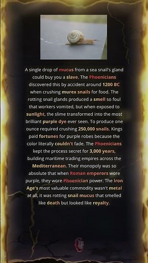 How Snail Mucus Made Kings Rich