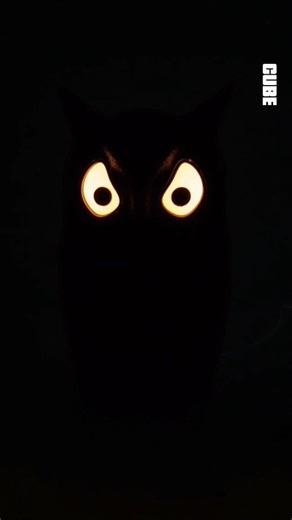 6.5K views · 319 reactions | 3D Printed Owl Led Lamp --------------------------------------- 3D Printer: Bambu Lab A1 Combo Filament: Bambus Lab PLA Basic --------------------------------------- #3dprinting #3dprint #diy #owl #lamp | Cube3dworld | Facebook