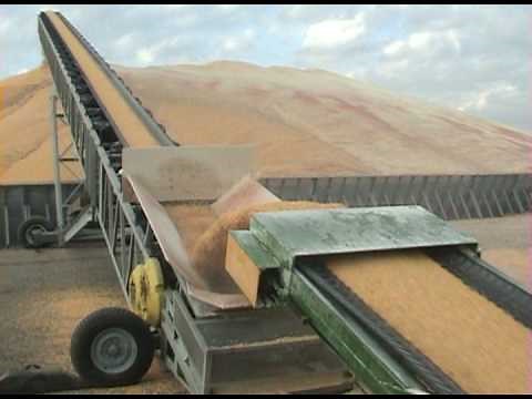 Allatoona's Drive Over Tazz Corn Hog with our 120' Radial Stacking Conveyor