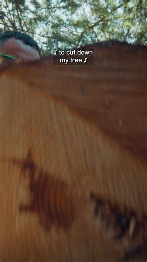 From tool chests to chainsaws, Harbor Freight's got your holiday covered. Stop by for this season's best savings. | Harbor Freight