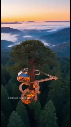 Redwood Tree House Build Timelapse – A Dream in the Forest!