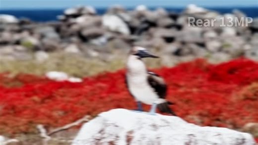 DigiLand Android 14 Tablets, 11 Zoll Tablet mit Hülle, Octa-Core, 12 RAM + 128 ROM, 800 * 1280 HD IPS-Bildschirm, 7000 mAh Akku, 8 MP + 13 MP Kameras, Wi-Fi 6, Widevine L1, BT 5.0, Blau