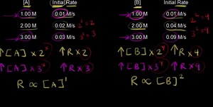 Rate law and reaction order