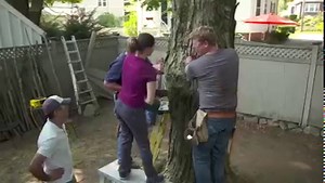 277K views · 3.8K reactions | Throwback to when Kevin O'Connor and Tom Silva built this awesome treehouse for the Belmont house a few years ago. #TBT Full tutorial and materials >> bit.ly/3vhD3vV | This Old House | Facebook