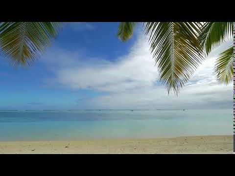 ZOOM BACKGROUND VIDEO SCENERY "Tropical Beach Background "