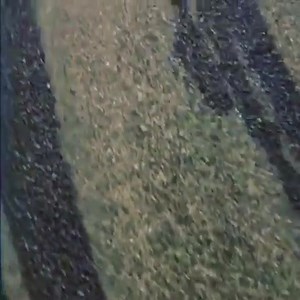 589K views · 37K reactions | One thing I have never been is a quitter! When I set my mind to something I do it, no ands ifs or buts... I challenge myself not for anyone else but for myself to be the best at everything I do.. be the best you can be!! IN ALL AREAS OF YOUR LIFE | Justin Bieber | Facebook