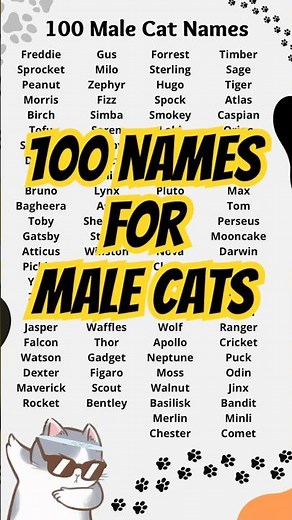 100 Male Cat Names (For Male Cats)