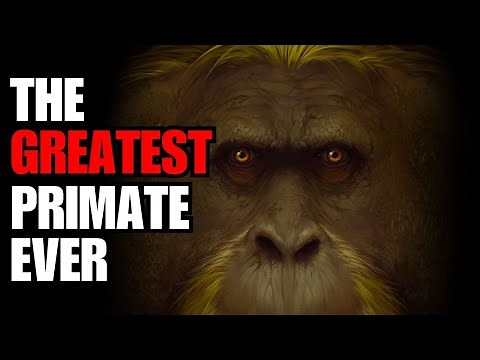 The Story Of Gigantopithecus Blacki