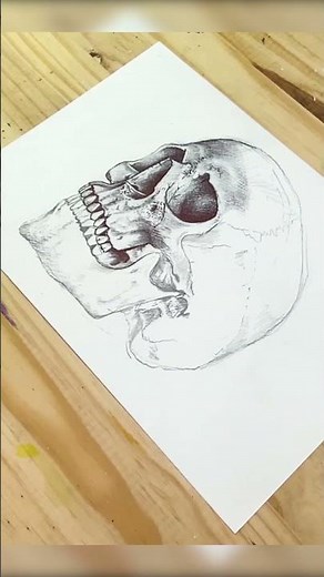 How to Draw a Realistic Skull #shorts