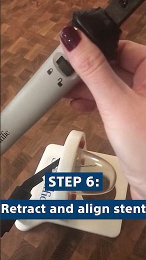 Step-by-Step Guide: Deploying the HOT AXIOS™ Stent | Boston Scientific