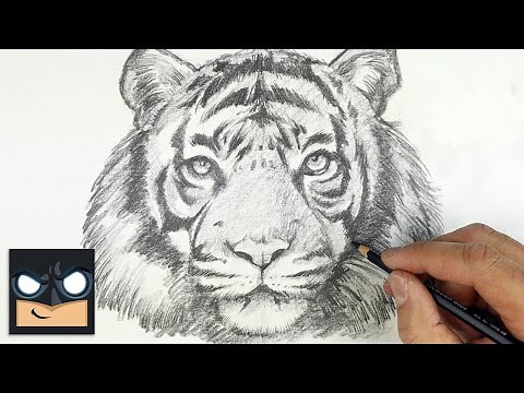 How To Draw Tiger | Beginner Pencil Tutorial (Step-by-Step)