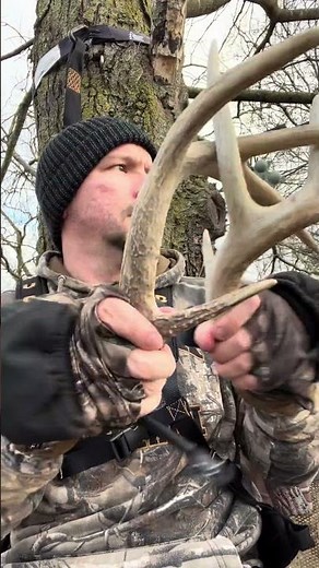 Which rattle sounds better? Pack Rack vs Real Deer Antlers #deerhunting #rattling