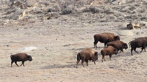 747K views · 62K reactions | Hello again! We are working on editing...