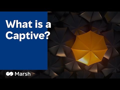 What Is Captive Insurance?