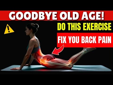 Over 60? 5 Simple Stretches That Solve 90% of Back Pain | Senior 60 Specialists