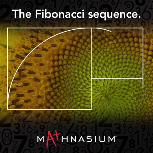 Happy Fibonacci Day! 🎬 In this video, we share the beauty of the Fibonacci sequence. It’s not just numbers — it’s the pattern behind spirals, pinecones, sunflowers, and even galaxies. 🌻 Want to explore more? Check out this blog for a fun breakdown of this famous pattern: 🔗 bit.ly/3Xbgvwc #Mathnasium #FibonacciDay #Fibonacci #MathFun | Mathnasium of Birmingham