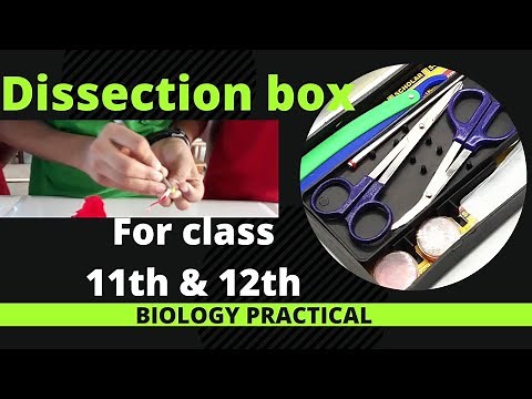 Dissection Box/Dissection Tools || For Biology practicals