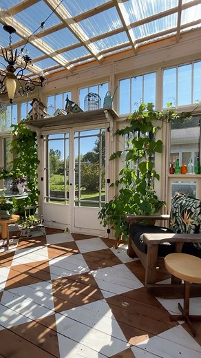 I grow scarlet runner bean every year in the greenhouse. It lasts almost until the end of August while my runner beans outside on my trellis thrive. I’m looking at some different vines for inside or maybe some climbing tomato vines. Any suggestions for what would thrive drop them below!🌿👇 / / #scarletrunnerbeans #vines #greenhousegrown #greenhouse #gardenplanning #sheshed #gardenhouse #growingfromseed #seedstartingtime #mygarden #howdoesyourgardengrow #cottagegarden #happygardeninglife #canadi