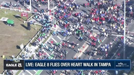 LIVE: Our Eagle 8 helicopter is flying over thousands of participants in the 2025 Tampa Bay Heart Walk ❤️👟 https://www.wfla.com/heart-walk/ | WFLA News Channel 8