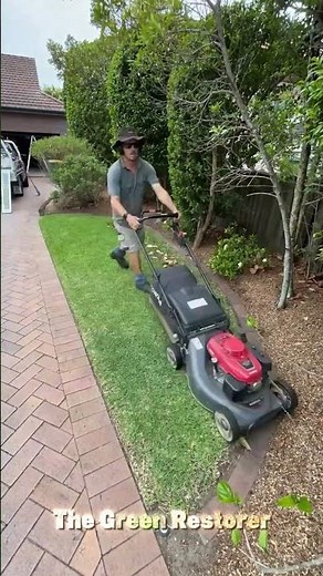 Yard Cleaning | Cutting | Mowing | Edging | Blowing #shorts #satisfying #asmr