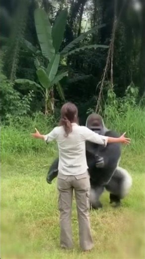 The Gorilla Missed His Mom So Much 💖