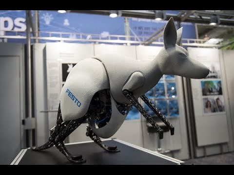 Meet the Bionic Kangaroo | The Edge