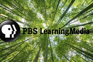 PBS LearningMedia: Crash Course and Beyond