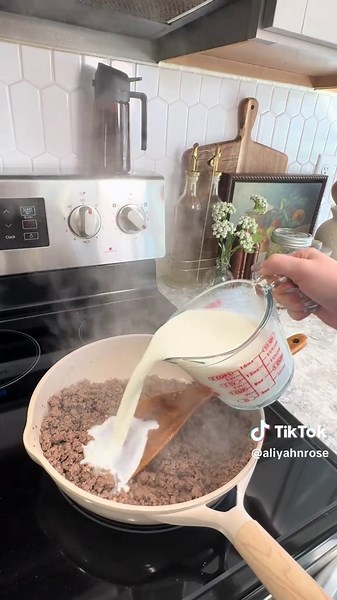 Easy Stroganoff Hamburger Helper Recipe