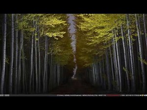 How to install i3wm on any Linux Mint 18.1 - 2 boot into i3