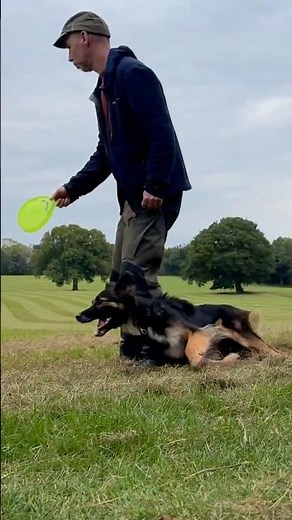 Her BIGGEST Leap for the Frisbee Yet! 🐾🛫