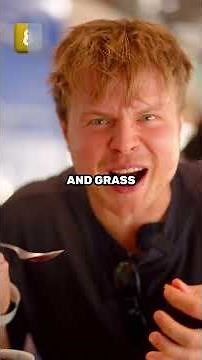 Trying Brazilian Snacks 🇧🇷