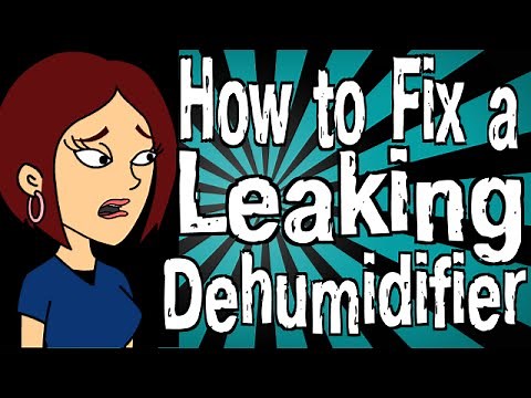 How to Fix a Leaking Dehumidifier