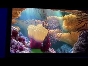 Finding Nemo virtual aquarium coral reef