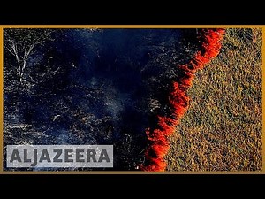 Amazon burning: Brazil reports record surge in forest fires