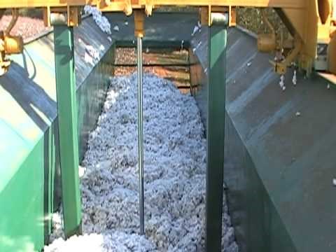 Packing cotton (module builder)