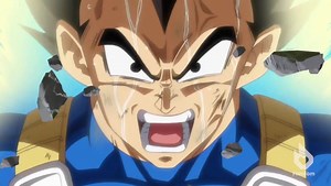 64 bits 32 bits 16 bits 8 bits 4 bits 2 bits 1 bit