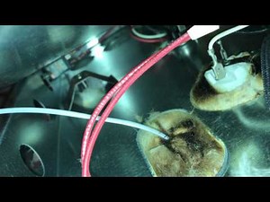 Kenmore Oven Temperature Probe Replacement