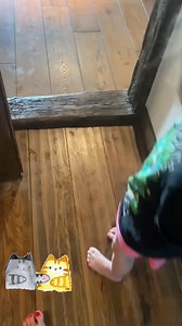 262K views · 10K reactions | Poranek z Liczi ☕️. Jak Wasz? Razem możemy zdziałać cuda dla Zwierząt  https://pomagam.pl/psiawioska POMÓŻ NAM POMAGAĆ ZWIERZĘTOM USTAW STAŁY PRZELEW  KONTO: 27 1500 1634 1216 3005 4390 0000 PODARUJ 1% podatku 퐊퐑퐒 0000313847 #Love #adapomaga #miłość #PsiaWioska #BudujemyPsiąWioskę | Fundacja ADA Centrum Adopcyjne | Facebook